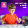 Головоломки металлические большие ЗОЛОТАЯ СКАЗКА, набор 16 штук, разные уровни сложности, 664928, 664928