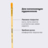 Кисть ПИФАГОР, СИНТЕТИКА, плоская, № 6, деревянная лакированная ручка, с колпачком, пакет с подвесом, 200859, 200859