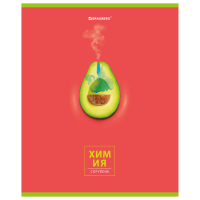 Тетрадь предметная "AVOCADO" 48 л., глянцевый лак, ХИМИЯ, клетка, BRAUBERG, 404284, 404284