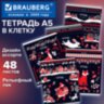 Тетрадь А5, 48 л., BRAUBERG, скоба, клетка, TWIN-лак, "Орнамент из сказки" (микс в спайке), 405650, 405650