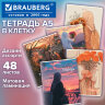 Тетрадь А5, 48 л., BRAUBERG, скоба, клетка, матовая ламинация, "Восточная девушка" (микс в спайке), 405647, 405647