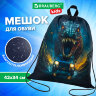 Мешок для обуви BRAUBERG KIDS, с петлей, 42х34 см, "Dino chase", 272416, 272416