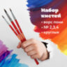 Кисти ПИФАГОР, набор 3 шт. (ПОНИ: круглые № 2, 3, 4), пакет с европодвесом, 200227, 200227