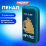 Пенал ПИФАГОР, 1 отделение, ламинированный картон, 19х9 см, "Capy face", 272245, 272245