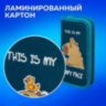 Пенал ПИФАГОР, 1 отделение, ламинированный картон, 19х9 см, "Capy face", 272245, 272245