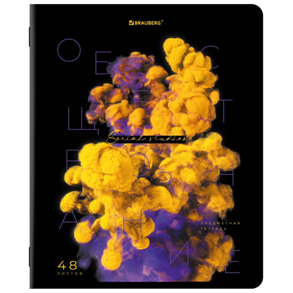 Тетрадь предметная PIGMENT 48 л., глянцевый УФ-лак, ОБЩЕСТВОЗНАНИЕ, клетка, подсказ, BRAUBERG, 404759, 30 штук, 404759