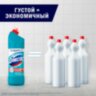 Чистящее средство 1 л, ДОМЕСТОС "Свежесть Атлантики", с отбеливающим эффектом, 600580