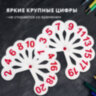 Веер-касса (цифры от 1 до 20) ПИФАГОР, 227392, 227392