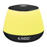 Колонка портативная KAIGO (КАЙГО) GE-3058, 3 Вт, Bluetooth, Micro SD, RGB, 514222, 514222