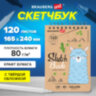 Скетчбук, крафт-бумага 80 г/м2, 165х240 мм, 120 л., гребень, твердая обложка, BRAUBERG ART DEBUT, 112999, 112999