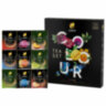 Чай CURTIS "Colour Tea Set", ассорти 9 вкусов, НАБОР 54 сашета, 102157, 623366