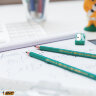 Карандаш чернографитный BIC, 1 шт., "Evolution", HB, с ластиком, корпус зеленый, 8803323, 36 штук, 180094
