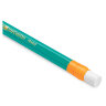Карандаш чернографитный BIC, 1 шт., "Evolution", HB, с ластиком, корпус зеленый, 8803323, 36 штук, 180094
