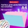 Папка-органайзер на кнопке 12 отделений, BRAUBERG "Extra", А4, голубая с розовым, 271932, 271932