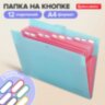 Папка-органайзер на кнопке 12 отделений, BRAUBERG "Extra", А4, голубая с розовым, 271932, 271932