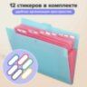 Папка-органайзер на кнопке 12 отделений, BRAUBERG "Extra", А4, голубая с розовым, 271932, 271932