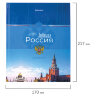 Дневник 1-4 класс 48 л., твердый, BRAUBERG, глянцевая ламинация, с подсказом, "Российский", 106832, 106832