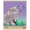 Тетрадь А5, 48 л., HATBER, скоба, линия, обложка картон, "КОТЯТА" (микс в спайке), 047012, 48Т5В2, 20 штук, 402904