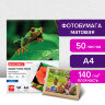Фотобумага матовая, А4, 140 г/м2, односторонняя, 50 листов, BRAUBERG ORIGINAL, 363983, 363983