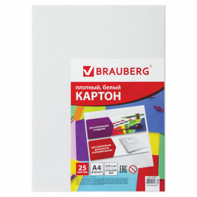 Картон белый А4 МЕЛОВАННЫЙ (белый оборот), 25 листов, BRAUBERG, 210х297 мм, 124021, 124021