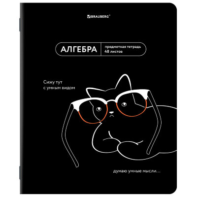 Тетрадь предметная МЕМЫ 48 л., TWIN-лак, АЛГЕБРА, клетка, подсказки, BRAUBERG, 405096, 405096