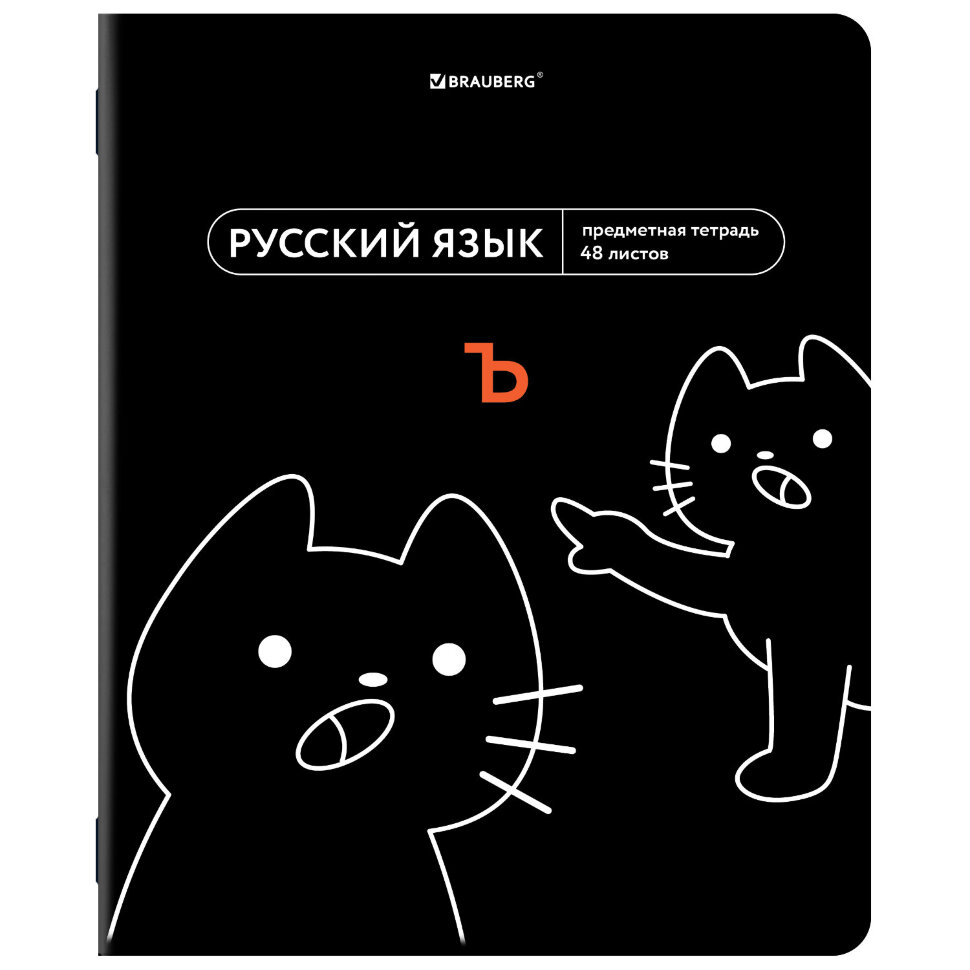 Тетрадь предметная МЕМЫ 48 л., TWIN-лак, РУССКИЙ ЯЗЫК, линия, подсказки, BRAUBERG, 405105, 405105
