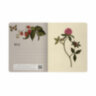 Тетрадь А5 48 л. BRUNO VISCONTI скоба, клетка, Soft Touch, фольга, "BLOOM FLOWERS" (5 видов), 7-48-1277, 10 штук, 404989