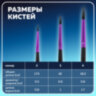Кисти BRAUBERG PREMIUM, набор 3 шт. (беличьи круглые № 2, 3, 4), блистер, 201020, 201020