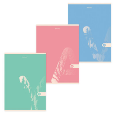 Тетрадь А4, 48 л., BRAUBERG, скоба, клетка, обложка картон, "PASTEL", 404041, 404041