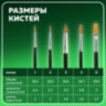 Кисти BRAUBERG, набор 5 шт. (синтетика, круглые № 1, 2, 5, плоские № 5, 8), блистер, 200219, 200219