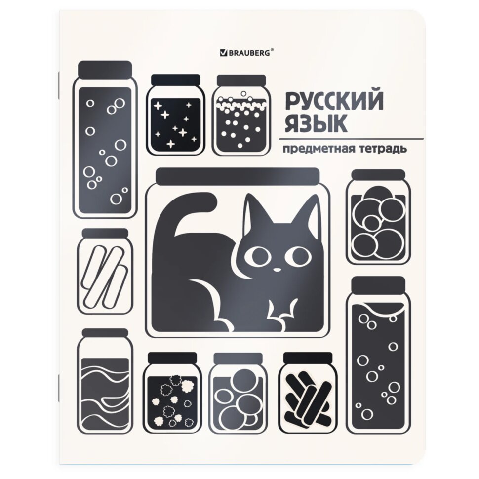 Тетрадь предметная КОТ-НЕПОСЕДА 48 л., пластиковая обложка, РУССКИЙ ЯЗЫК, линия, подсказ, BRAUBERG, 405536, 405536