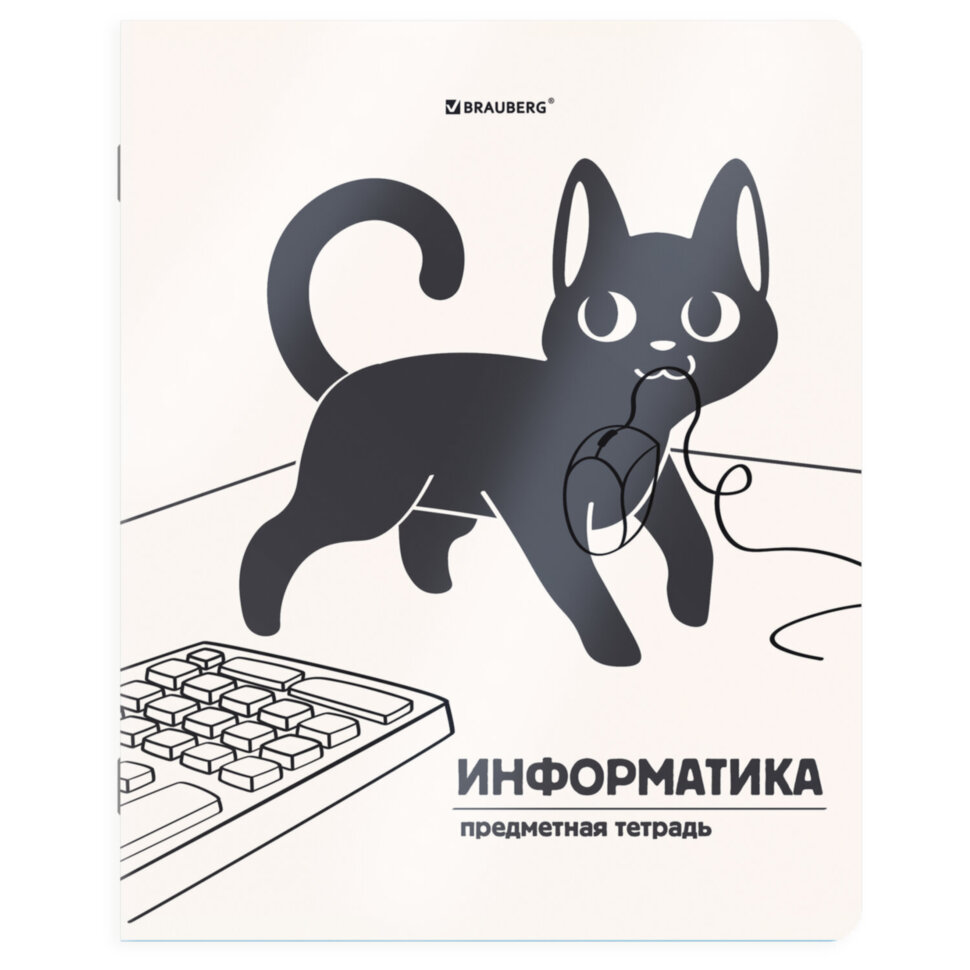 Тетрадь предметная КОТ-НЕПОСЕДА 48 л., пластиковая обложка, ИНФОРМАТИКА, клетка, подсказ, BRAUBERG, 405533, 405533