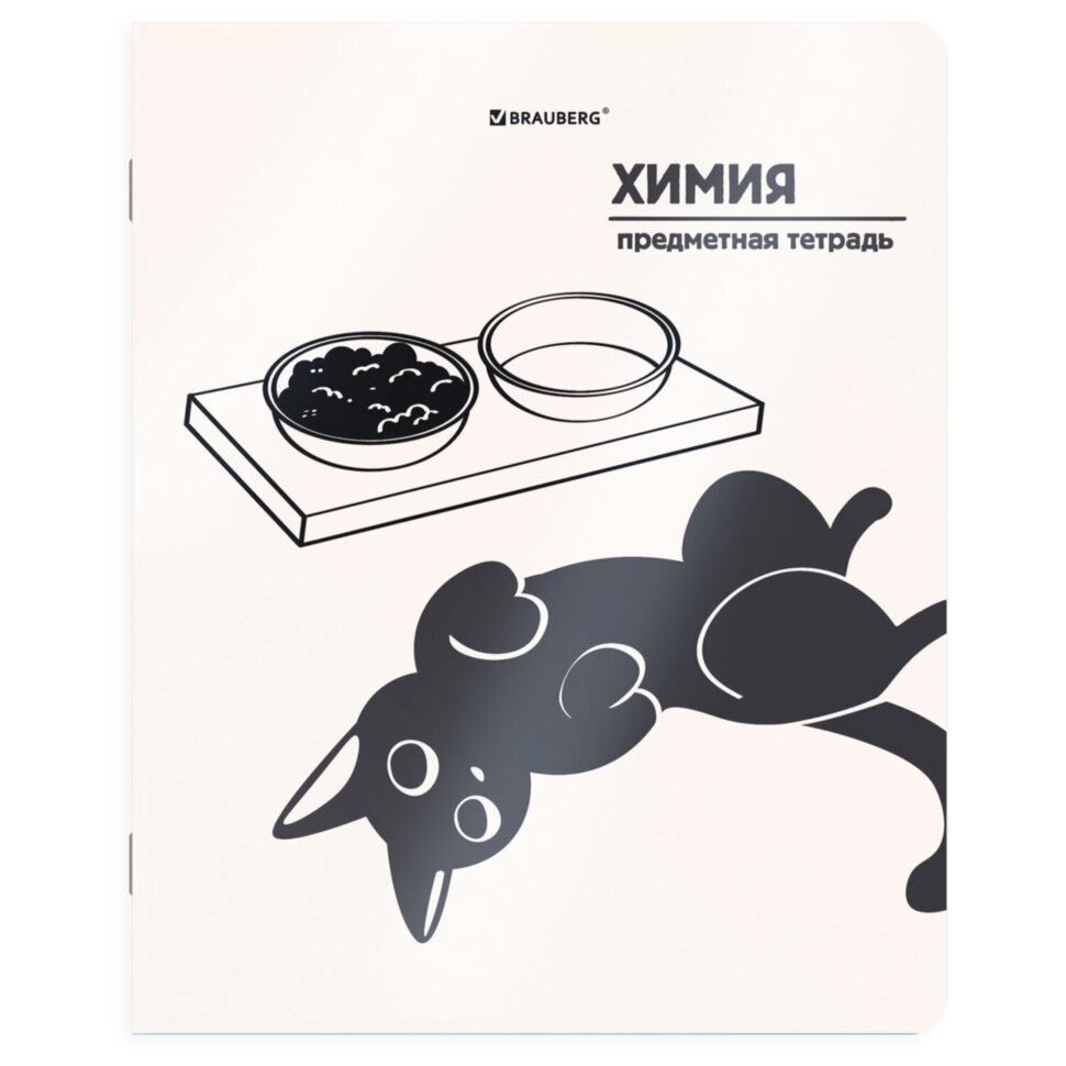 Тетрадь предметная КОТ-НЕПОСЕДА 48 л., пластиковая обложка, ХИМИЯ, клетка, подсказ, BRAUBERG, 405538, 405538