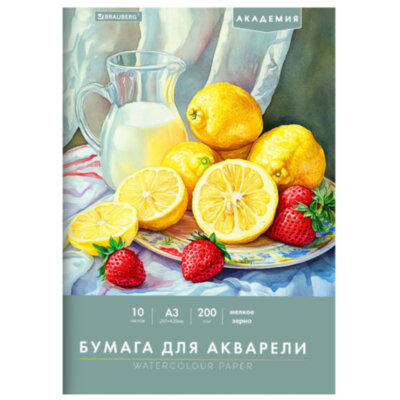 Папка для акварели БОЛЬШАЯ А3, 10 л., 200 г/м2, 297х420 мм, BRAUBERG АКАДЕМИЯ, "Летний натюрморт", 117741, 117741