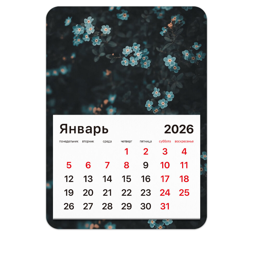 Календарь отрывной на магните на 2026 г., BRAUBERG, 130x180 мм, склейка, "Цветы", 117293, 117293