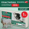 Пластилин скульптурный ЭКСТРА МЯГКИЙ БЕЛЫЙ "Секреты художника", 1 кг, BRAUBERG ART, 107506, 107506