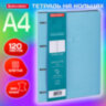 Тетрадь на кольцах БОЛЬШАЯ А4 (240х310 мм), 120 л., под кожу, BRAUBERG VISTA, "Пастельная", 404514, 404514