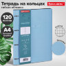 Тетрадь на кольцах БОЛЬШАЯ А4 (240х310 мм), 120 л., под кожу, BRAUBERG VISTA, "Пастельная", 404514, 404514