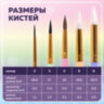 Кисти НАБОР 5 шт. (БЕЛКА круглая № 3; КОЗА круглые № 6, 8; ПОНИ круглые № 2, 5), BRAUBERG KIDS, 201080, 201080