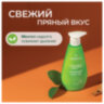 Зубная паста 240 мл, SYNERGETIC "Комплексный уход", с маслами корицы и чайного дерева, дозатор, 201024, 609919