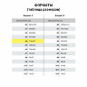 Бумага офисная А4, 80 г/м2, 500 л., SVETOCOPY ECO, белизна 60%, Россия, 114324