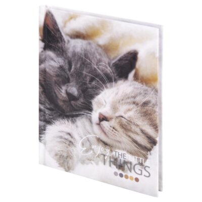 Блокнот МАЛЫЙ ФОРМАТ (110х147 мм), А6, 80 л., твёрдый, клетка, STAFF, "Котики", 114439, 114439