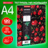 Тетрадь на кольцах БОЛЬШАЯ А4 (240х310 мм), 120 л., под кожу, BRAUBERG VISTA, "Гранаты", 404513, 404513