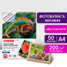 Фотобумага матовая, А4, 200 г/м2, двусторонняя, 50 листов, BRAUBERG ORIGINAL, 363989, 363989