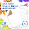 Картон для подшивки документов БОЛЬШОГО ФОРМАТА, А3 немелованный, 100 л., 260 г/м2, BRAUBERG, 297х420 мм, 124876, 124876