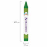Восковые мелки утолщенные BRAUBERG, НАБОР 12 цветов, 222966, 222966