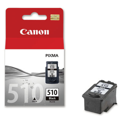Картридж струйный CANON (PG-510) Pixma MP240/MP260/MP480, черный, оригинальный, ресурс 220 страниц, 2970B007, 360990