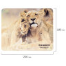 Коврик для мыши SONNEN "LIONS", резина + ткань, 220х180х3 мм, 513310, 513310