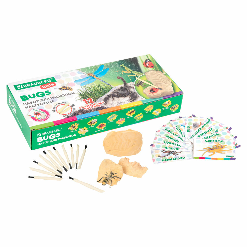 Набор для раскопок "Насекомые", 12 видов, карточки, инструменты, BRAUBERG KIDS, 665127, 665127