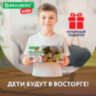 Набор для раскопок "Дикие животные", 12 видов, карточки, инструменты, BRAUBERG KIDS, 665128, 665128